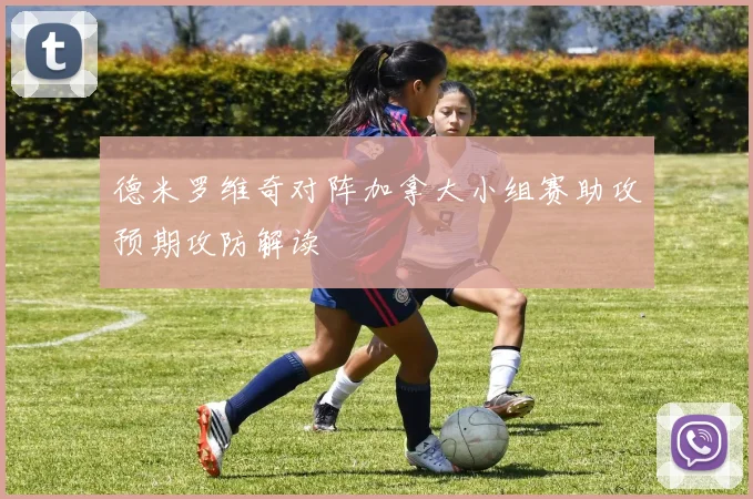 德米罗维奇对阵加拿大小组赛助攻预期攻防解读