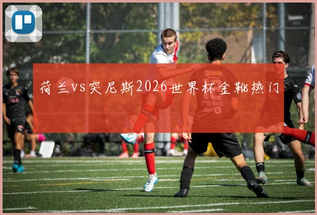 荷兰vs突尼斯2026世界杯金靴热门