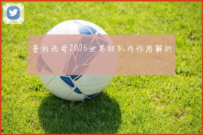 普利西奇2026世界杯队内作用解析