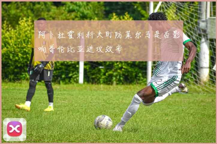 阿卜杜霍利科夫盯防莱尔马是否影响哥伦比亚进攻效率