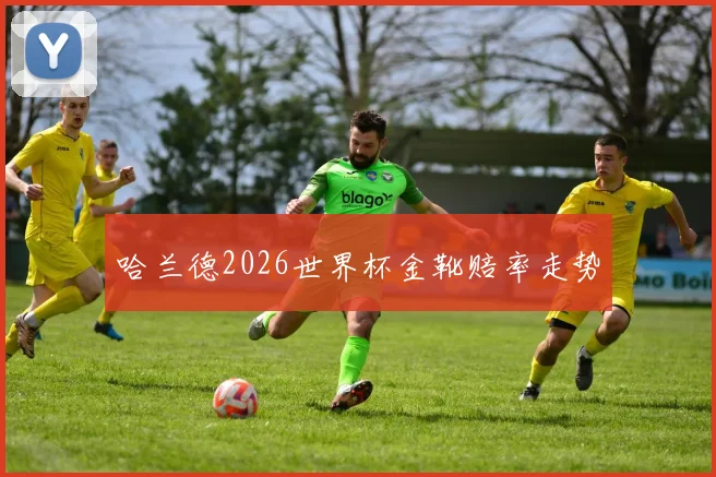 哈兰德2026世界杯金靴赔率走势