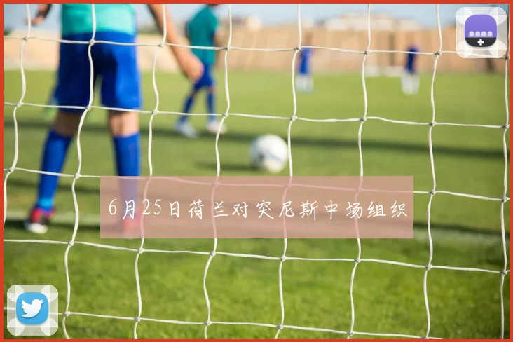 6月25日荷兰对突尼斯中场组织