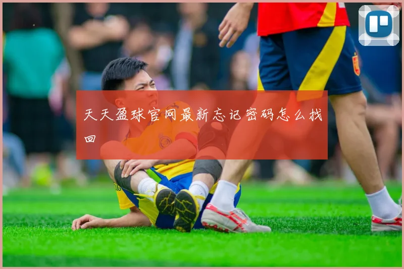 天天盈球官网最新忘记密码怎么找回